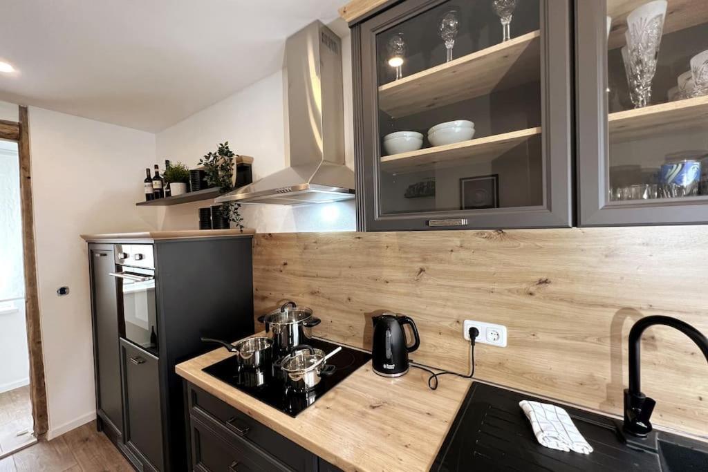 Ar Apartments III I 4 Pers I Modern I Schillerapartment ルドルシュタット エクステリア 写真